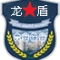 安徽龙盾保安服务有限公司的logo
