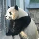 赵女士的个人头像