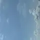 程女士的个人头像