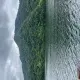 杨先生的个人头像